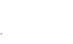pallone.gif (15106 byte)